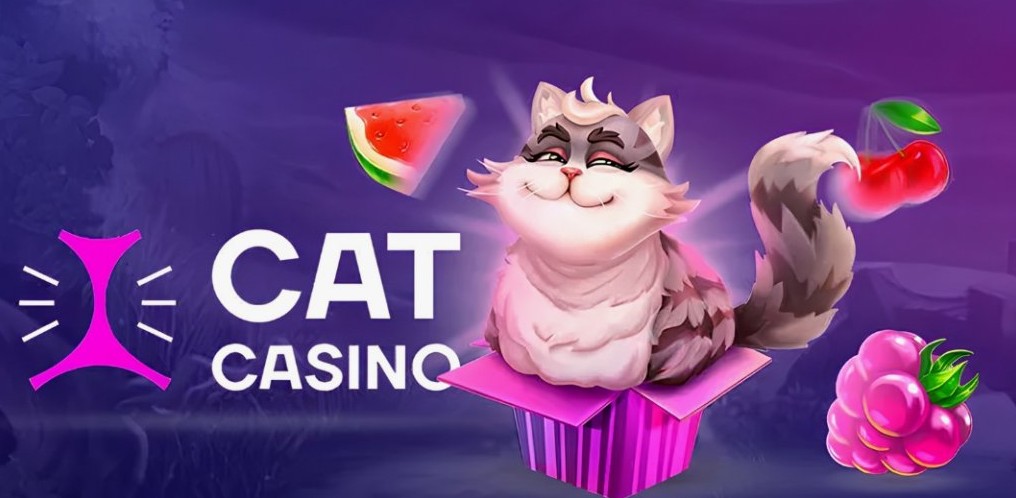 Кэт Казино